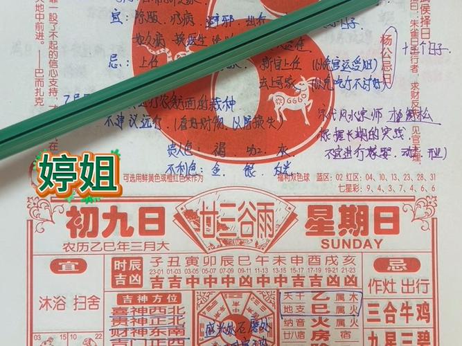精準(zhǔn)獲?。?025白小姐開獎結(jié)果查詢?nèi)ヂ耘c權(quán)威解讀