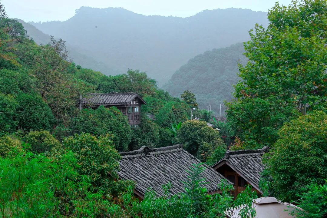 穿梭信息迷局:解碼“管家婆一句中特7嗎”的城市對(duì)話