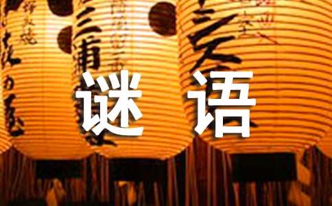 虛擬港灣的謎思：探秘新澳門(mén)天天免費(fèi)謎語(yǔ)下一期的數(shù)字奇遇