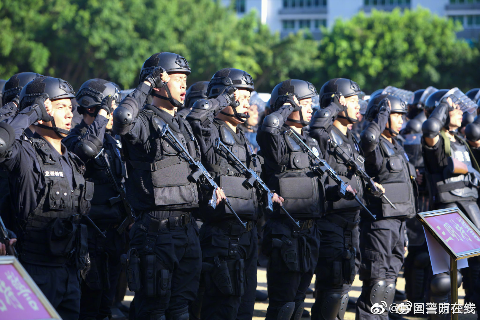 夜幕下的對話:探秘中國人民武裝警察部隊特種警察學院難考嗎的真相