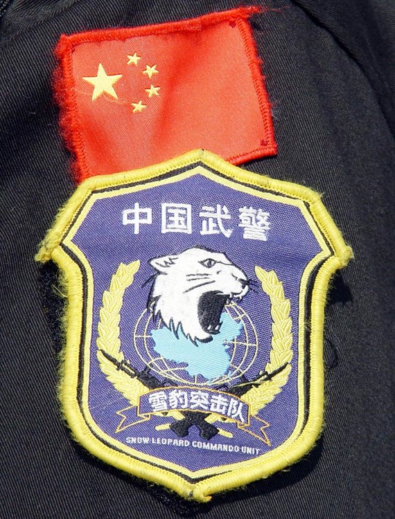精讀:中國(guó)人民武裝警察部隊(duì)特種臂章的象征與榮耀深度解析