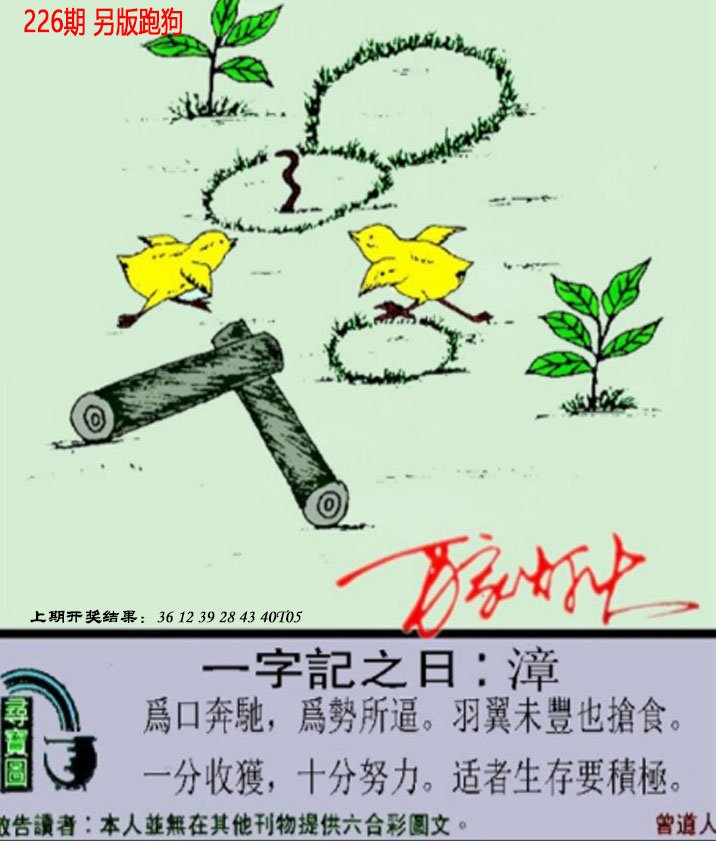 香港澳門彩網(wǎng)：深度解析數(shù)據(jù)背后的奧秘與高效查詢指南