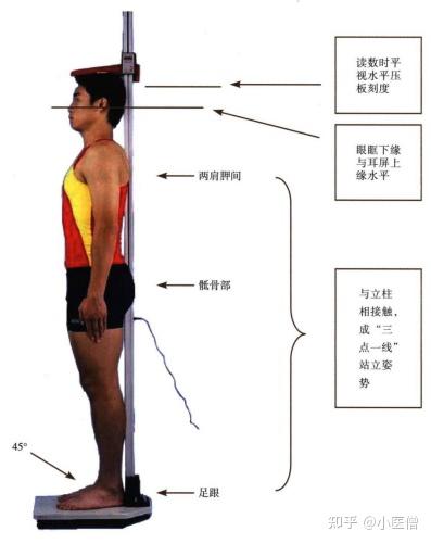 譚松韻身高對(duì)比:深度解析其官方數(shù)據(jù)與視覺反差的奧秘