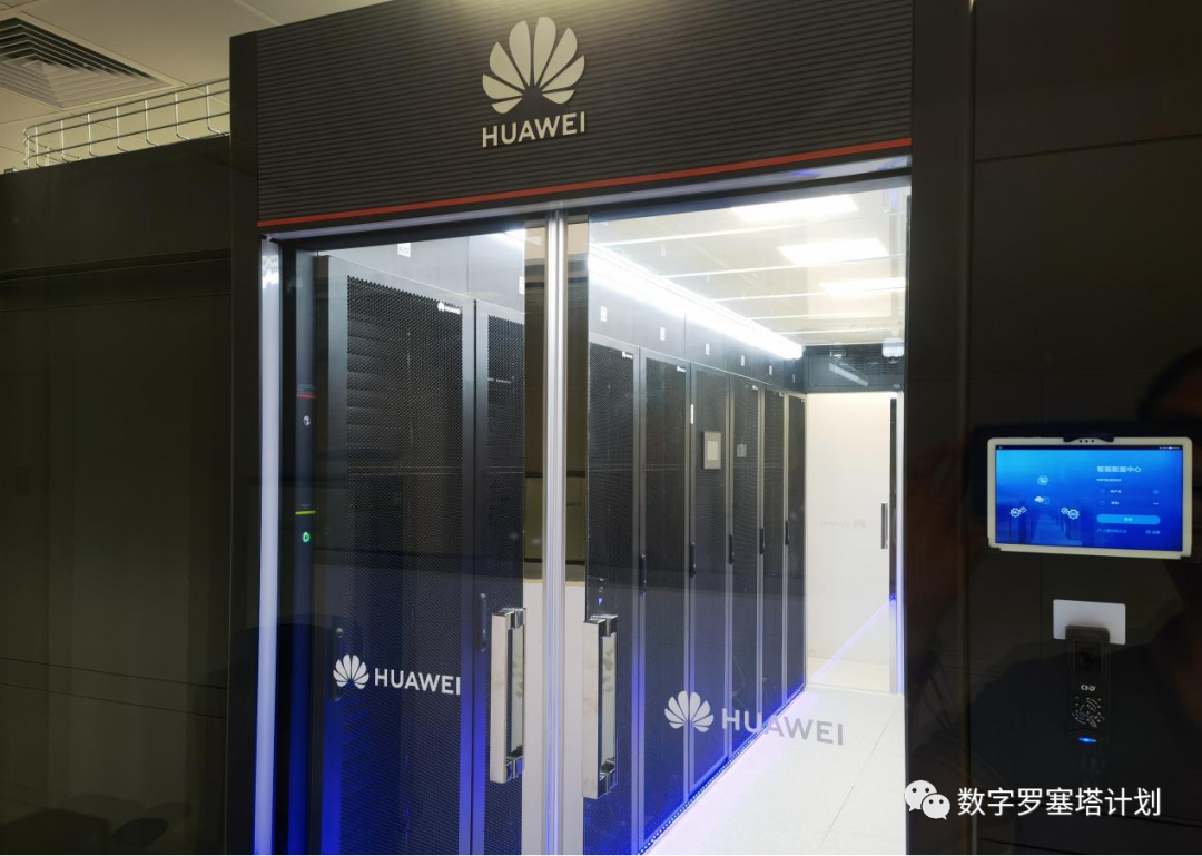 跨越時空的尋訪:2025新澳芳草地資料的奇遇與真相