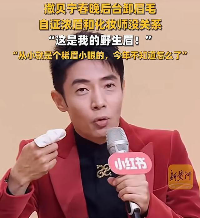 演員文晴：深度解析實力派的演藝之路與熒幕魅力
