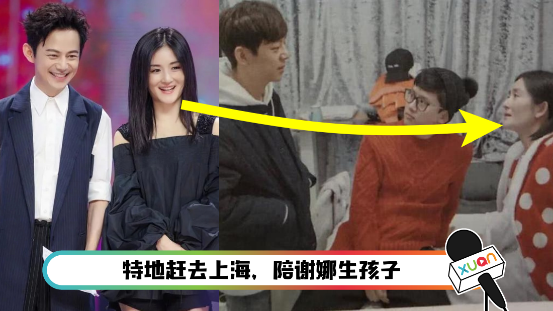 謝娜生了幾個寶寶是男是女？深度解析其幸福家庭的秘密與育兒點滴