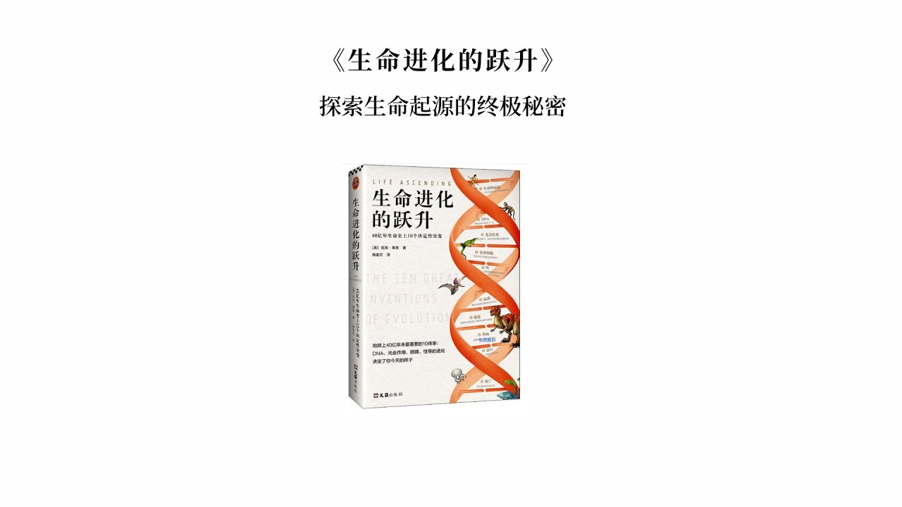 探秘?cái)?shù)字邊境：77777788888王中王與未來社會的深層博弈