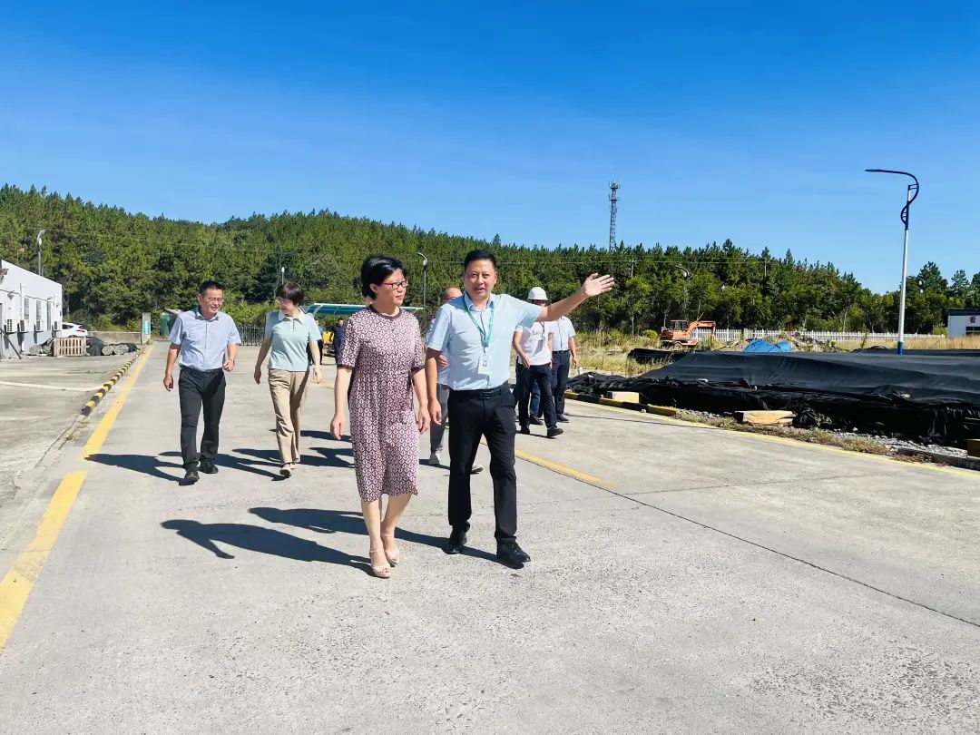深秋茶館奇遇:解碼“新奧最精免費大全管家婆”的未來圖景