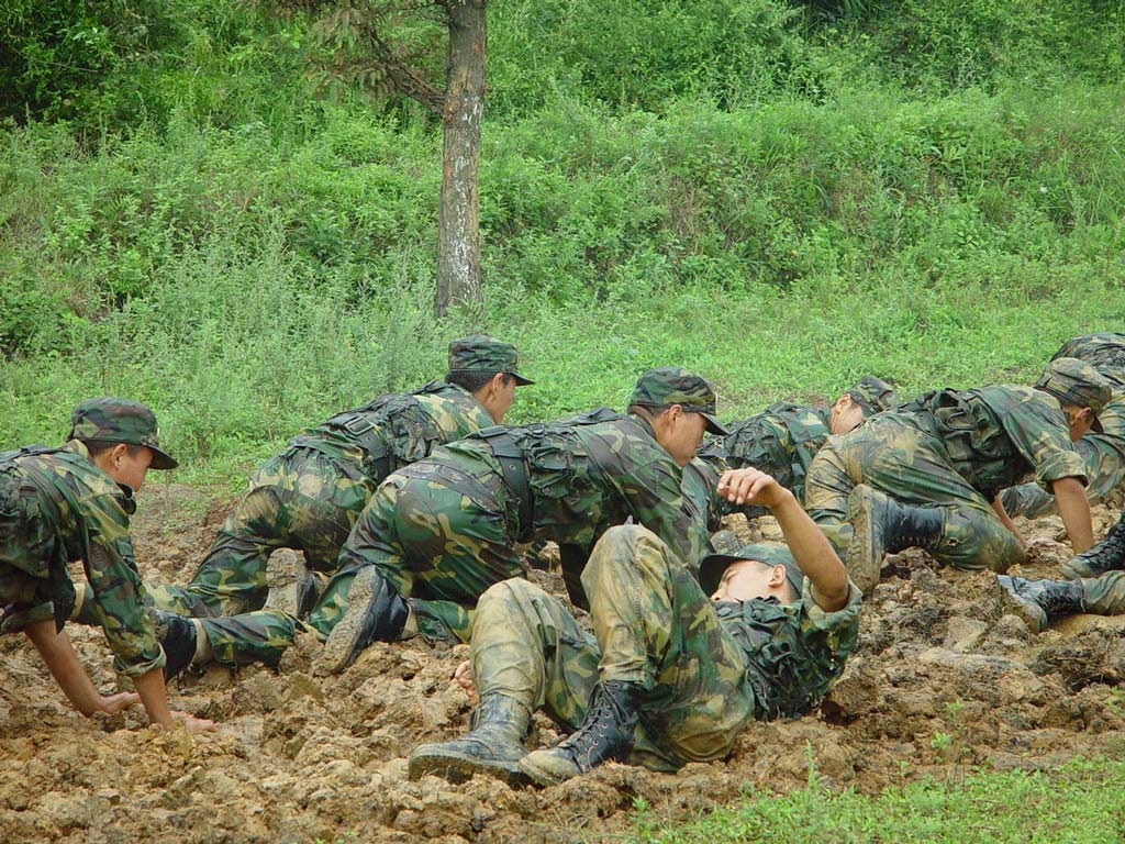 中國(guó)人民武裝部隊(duì)警察部隊(duì)內(nèi)衛(wèi)：深度解析其核心職能與國(guó)家安全基石