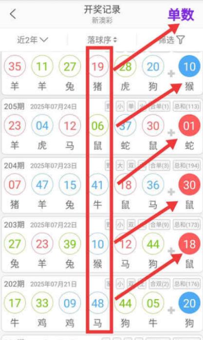2025澳門今晚開獎號碼深度解析:官方渠道與查詢全攻略