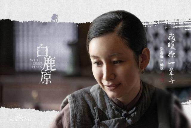 秦海璐演過(guò)哪些電視劇深度解析:盤點(diǎn)其經(jīng)典代表作與多樣化熒屏形象