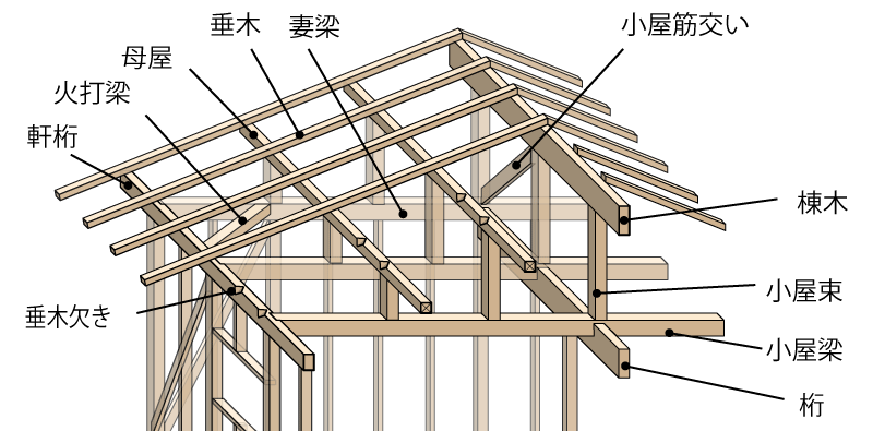 梁靖昆個人資料深度解析：國乒硬核實力派的成長之路