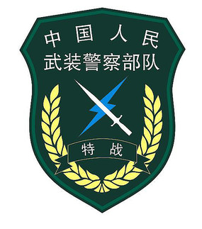 武警特戰(zhàn)臂章的沉思：一次老兵與青年的時光對話
