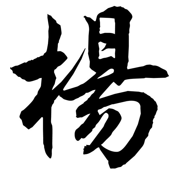 深度解析楊冪的個(gè)人資料年齡：全面解讀這位國民女演員的成長與發(fā)展