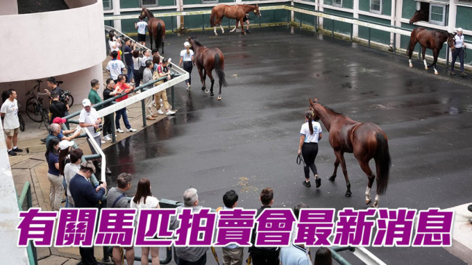 茶餐廳奇遇:7777788888香港馬的數(shù)字迷思與文化密碼