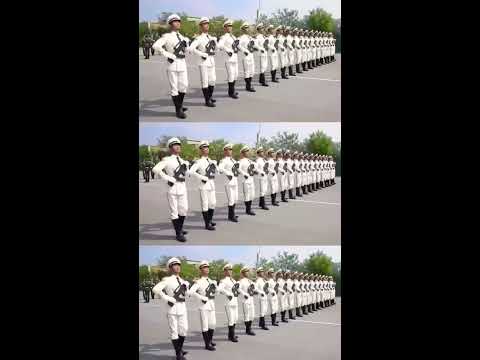 中國(guó)人民解放軍儀仗隊(duì)女兵方隊(duì):榮耀場(chǎng)景聚合下的多元力量特寫(xiě)