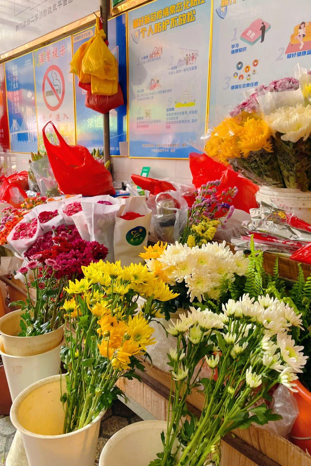 新門內(nèi)部資料最快更新，深度探索與前沿洞察，新門內(nèi)部資料更新速遞，深度探索與前沿洞察揭秘