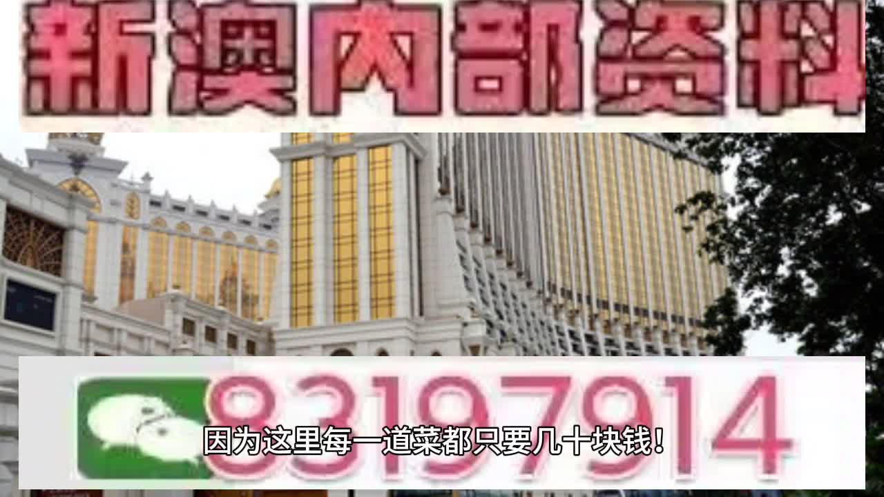 澳門六肖中特馬，探索與解讀，澳門六肖中特馬的探索與解讀指南