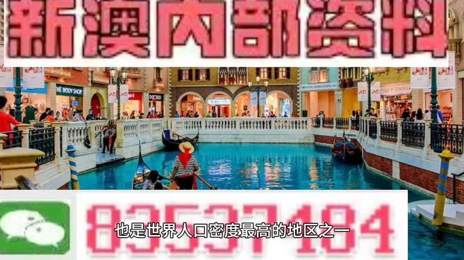 新澳門免費(fèi)精準(zhǔn)龍門客棧管家婆，探索澳門旅游的新體驗，澳門旅游新體驗，龍門客棧管家婆揭秘免費(fèi)精準(zhǔn)攻略