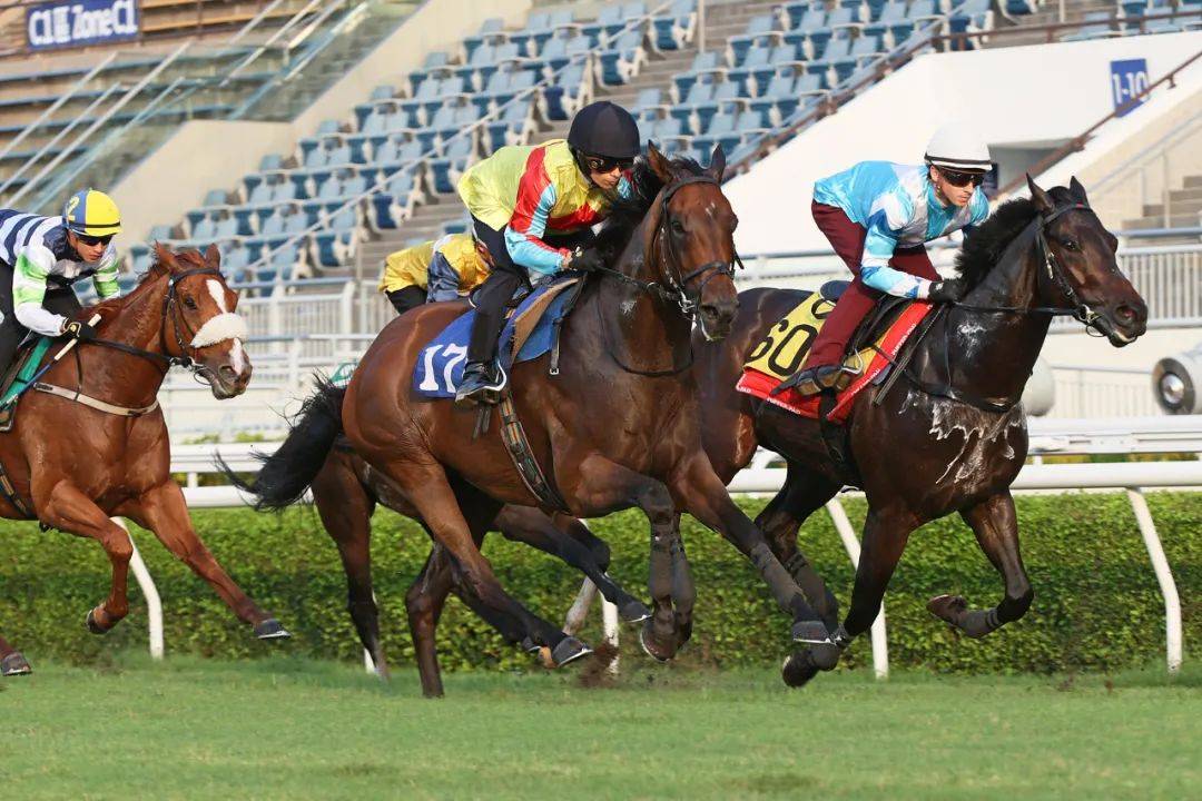 香港馬，77777與88888的傳奇故事，香港賽馬傳奇，77777與88888的傳奇篇章