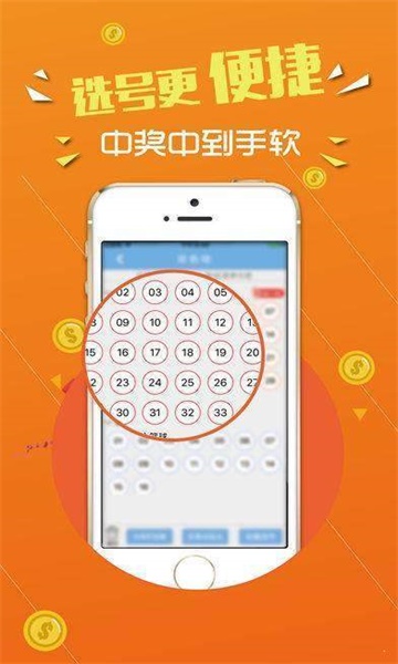 王中王心水論壇，探索智慧之源的聚集地，王中王心水論壇，智慧之源的聚集地探索