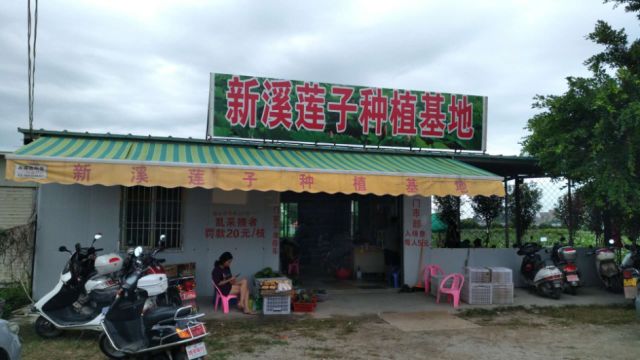 新溪門(mén)免費(fèi)資料探索