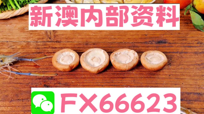 新澳全年免費(fèi)資料大全，探索與收獲，新澳全年免費(fèi)資料大全，探索之旅與收獲的時(shí)刻