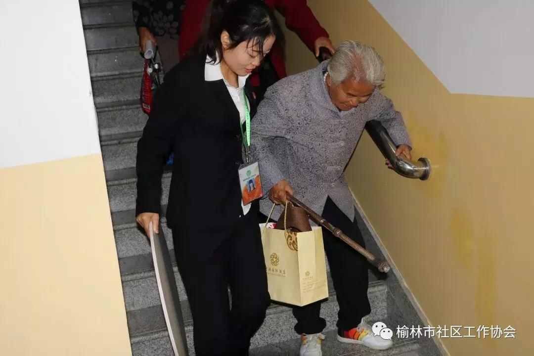 天天免費(fèi)資料彩票大全，探索彩票世界的奧秘與機(jī)遇，天天免費(fèi)資料彩票大全，揭秘彩票世界的奧秘與機(jī)遇