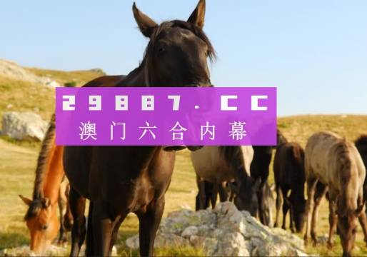 新澳門管家婆一特一中，探索現(xiàn)代博彩管理的典范，現(xiàn)代博彩管理典范，澳門管家婆一特一中探索之路