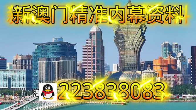 探索新澳門正版內(nèi)部，一個多元化的未來展望（至2025年），澳門未來展望，探索多元化發(fā)展之路至2025年
