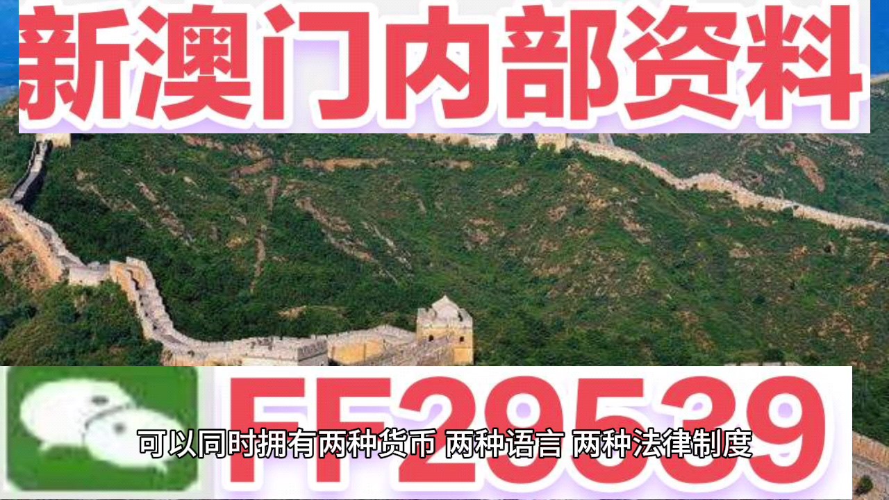 新澳門今晚開(kāi)獎(jiǎng)結(jié)果號(hào)碼查詢表，探索彩票世界的神秘與期待，新澳門今晚開(kāi)獎(jiǎng)結(jié)果查詢表，揭開(kāi)彩票世界的神秘面紗與期待