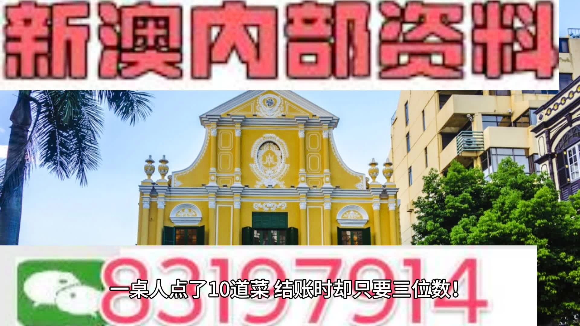 新門內(nèi)部資料大全免費(fèi)查詢，探索與啟示，新門內(nèi)部資料免費(fèi)探索，啟示與大全查詢