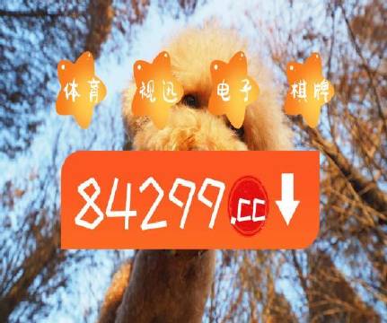 第99頁(yè)