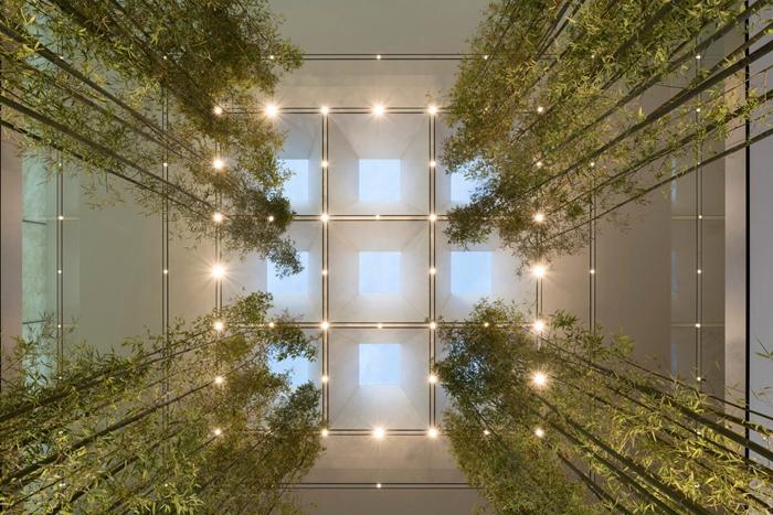 新澳門內部精準公開的多元發(fā)展與活力展望，澳門多元發(fā)展的活力展望與內部精準公開新動向