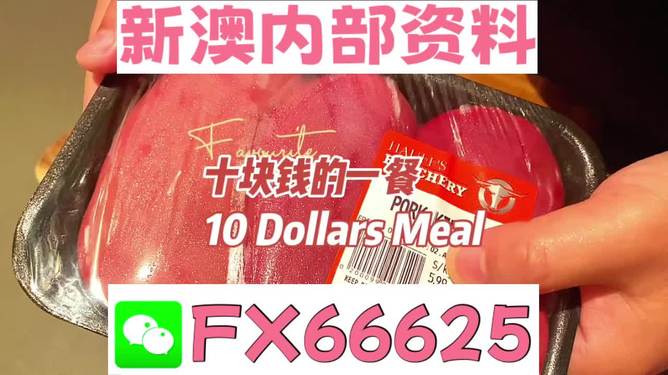 探索未來，揭秘2025新奧精準正版資料的價值與影響，揭秘未來之門，2025新奧精準正版資料的價值與影響探索