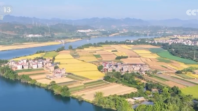 澳門(mén)大三巴一肖二肖，歷史、文化與神秘魅力的交織，澳門(mén)大三巴一肖二肖，歷史、文化與神秘魅力的交融之處