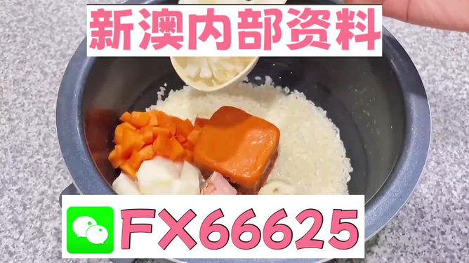 新奧精準(zhǔn)免費(fèi)資料提供，探索與啟示，新奧精準(zhǔn)免費(fèi)資料探索，啟示與分享