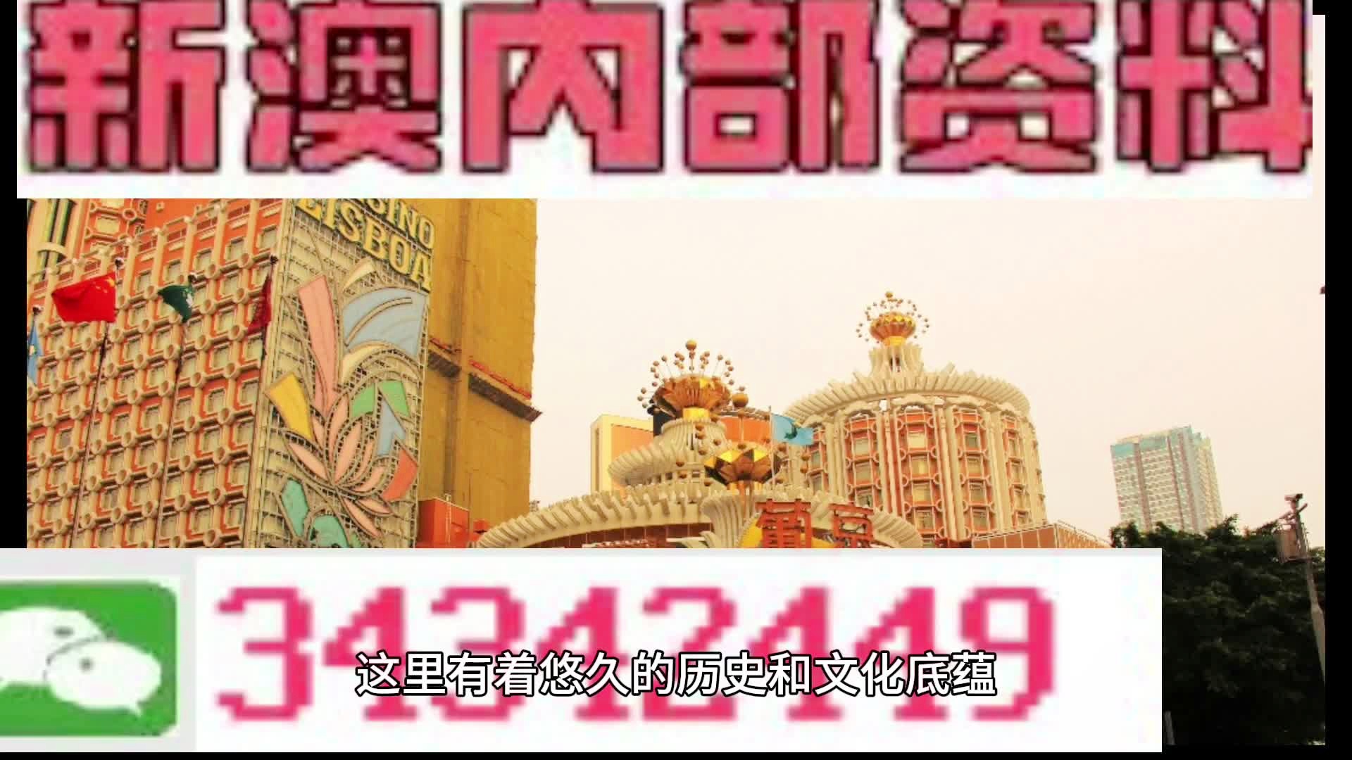 新門內部免費資料大全，探索與啟示，新門內部資料探索與啟示，免費資料大全