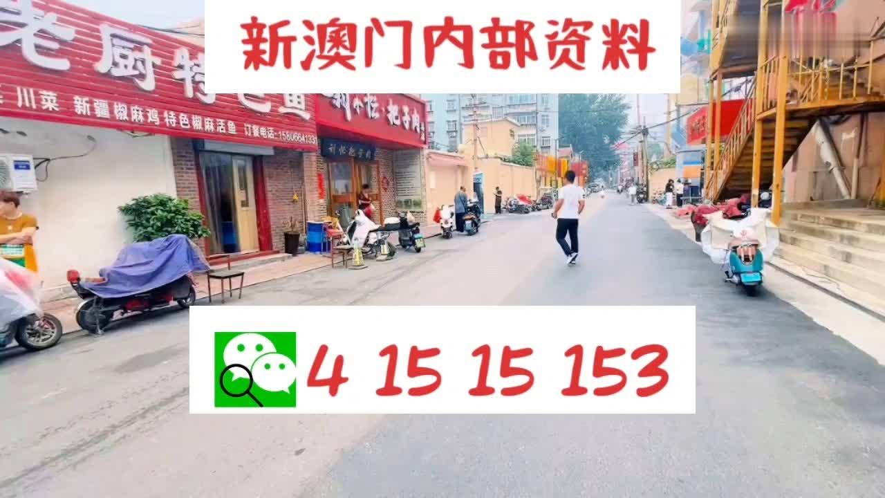 新門內(nèi)部資料大全免費(fèi)查看，探索與啟示，新門內(nèi)部資料大全，免費(fèi)探索與啟示之旅