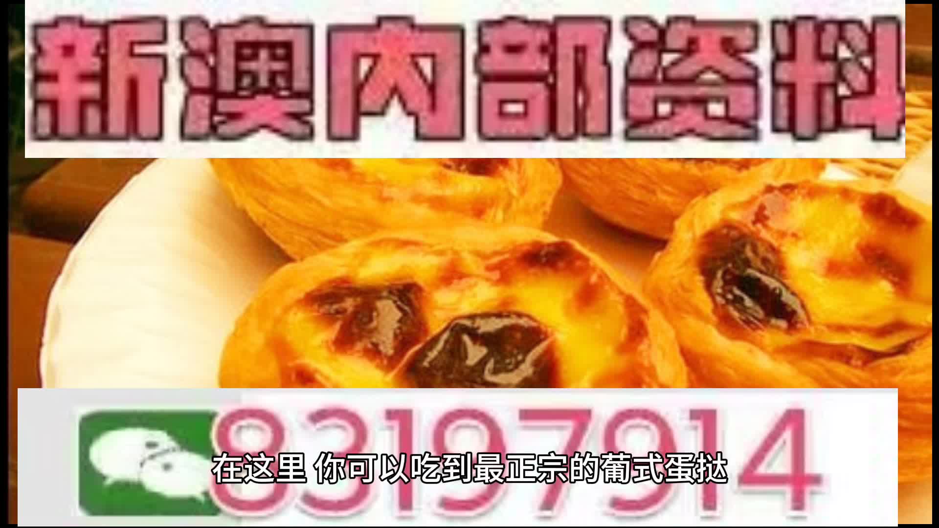 探索未來的澳門，新澳門中特網(wǎng)的發(fā)展與展望，澳門未來探索，新澳門中特網(wǎng)的發(fā)展展望