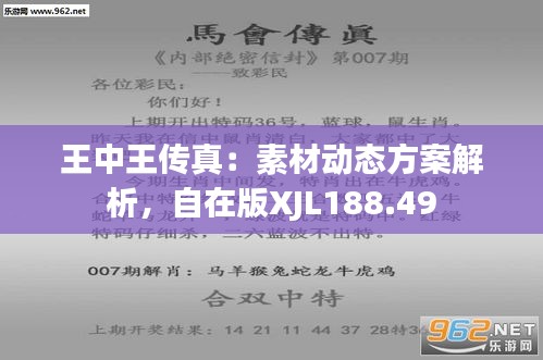 探索正版王中王，數(shù)字背后的故事與意義，正版王中王，數(shù)字背后的故事與深意