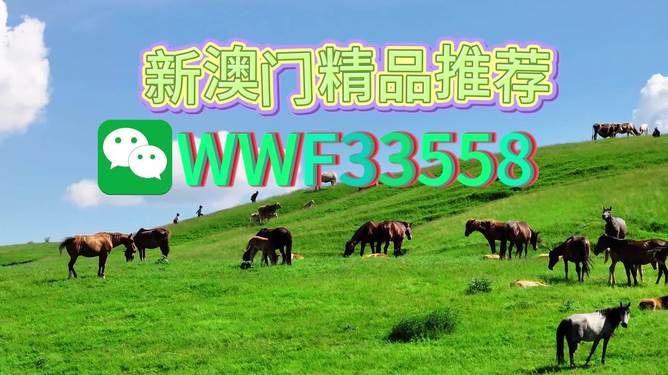 揭秘精準(zhǔn)四生肖，探尋數(shù)字組合77777與88888背后的奧秘，揭秘精準(zhǔn)四生肖與神秘?cái)?shù)字組合77777與88888的奧秘探索