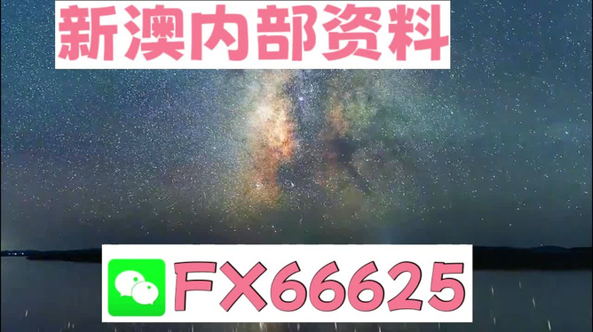 新澳天天開獎資料大全一，探索彩票世界的奧秘，新澳天天開獎資料大全一，揭秘彩票世界的神秘面紗