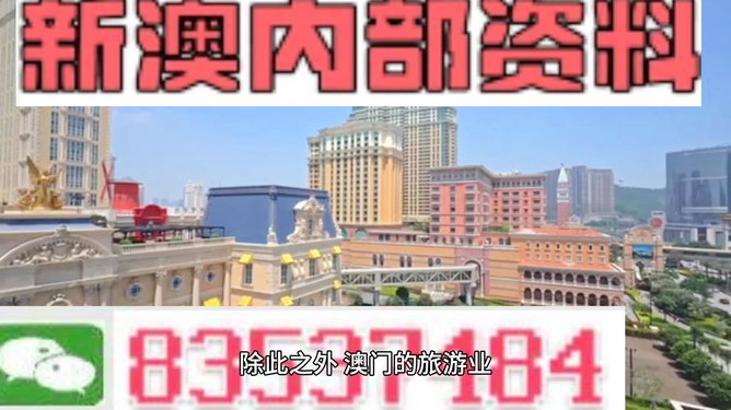 新澳門內(nèi)部精準公開的多元發(fā)展與活力展望，澳門多元發(fā)展的活力展望與內(nèi)部精準公開新動向