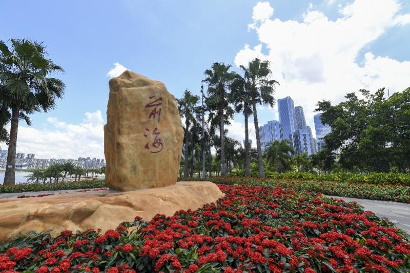 新澳門內(nèi)部精準(zhǔn)公開，探索與解讀，澳門內(nèi)部精準(zhǔn)解讀，探索與揭秘