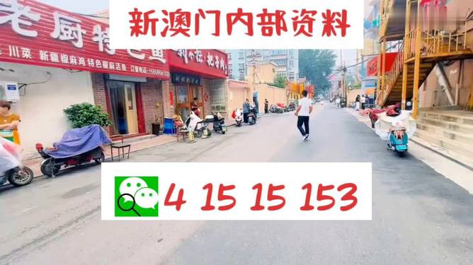 新奧天天開好彩大全——邁向成功的關鍵所在，新奧天天開好彩大全，成功之關鍵所在