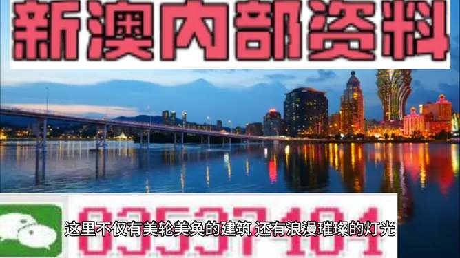 新澳新澳門正版資料的深度解析，澳門正版資料深度解析與解讀
