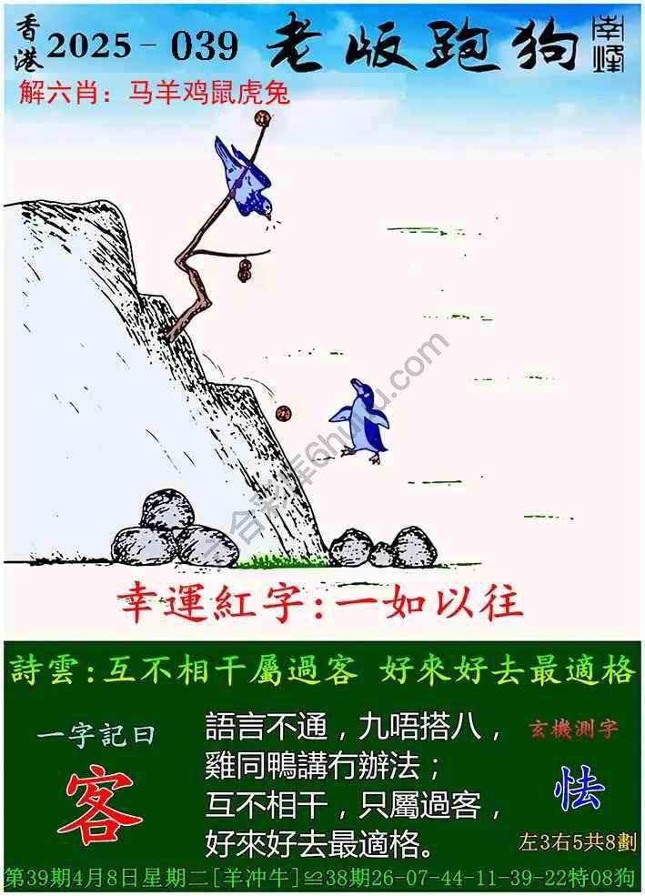 探索全新體驗(yàn)，7777788888新版跑狗，探索全新跑狗體驗(yàn)，7777788888新版來襲