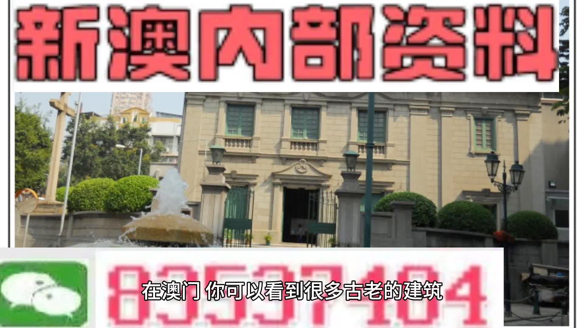 新門內(nèi)部免費資料大全，探索知識的寶庫，新門內(nèi)部知識寶庫，免費資料大全探索之旅