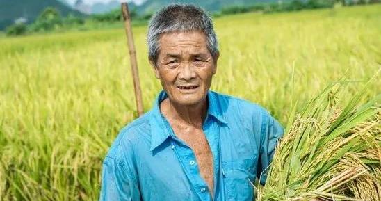 白小姐精準免費四肖深度解析：透視其信息價值與用戶指南